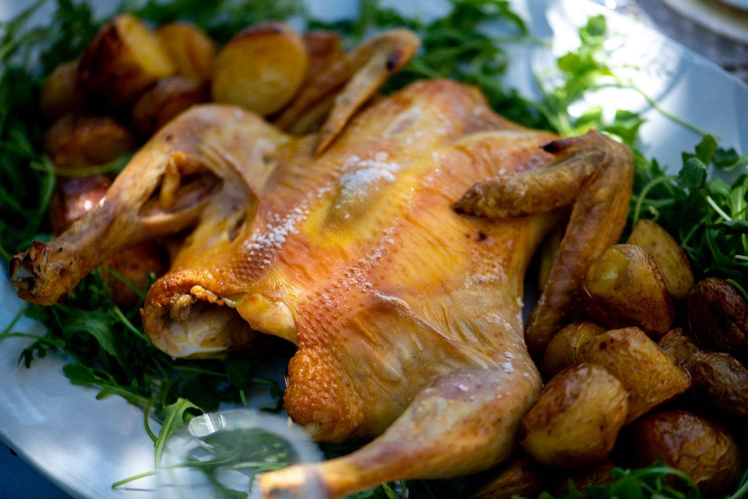 A spatchcocked roast chicken, cooked by Le Cochon Pendu
