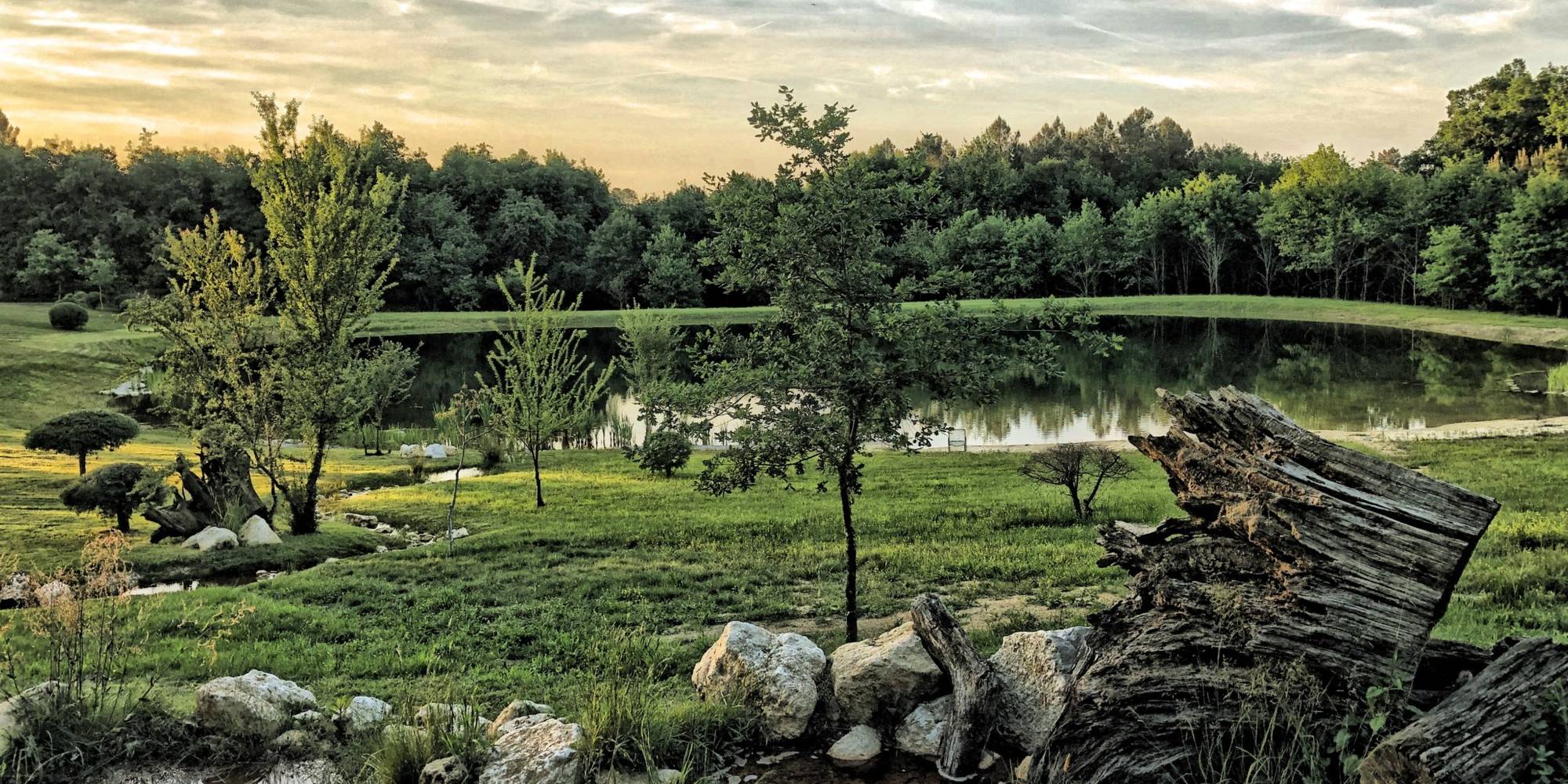 food forest, 